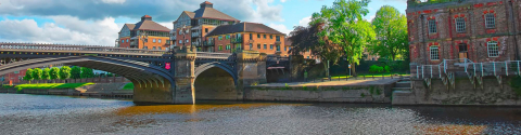 york summer camps