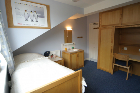 bed