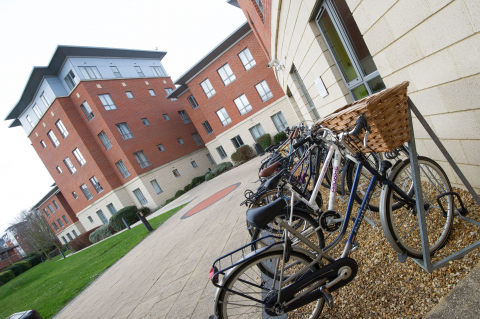 abbey college 9
