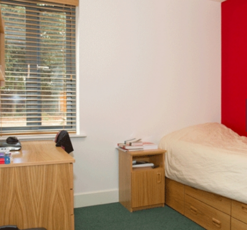canterbury accommodation 