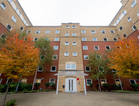 kings campus 3